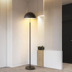Modern Dome Floor Lamp