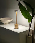 Rechargeable Table Lamp